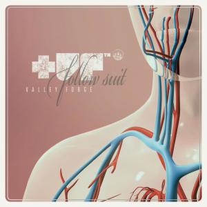 Album Follow Suit from 