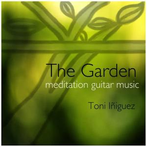 收聽Toni Iniguez的Leaves歌詞歌曲