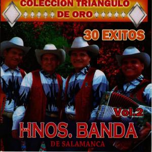 收聽Los Hermanos Banda De Salamanca的Juen de la Fuente歌詞歌曲