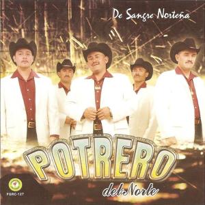 ดาวน์โหลดและฟังเพลง Se Hubiera Ido Sola พร้อมเนื้อเพลงจาก Potrero del Norte