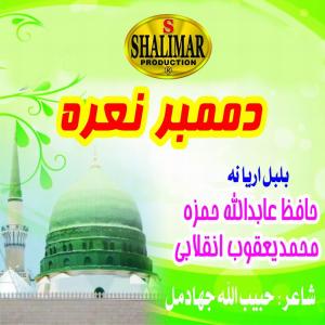 ดาวน์โหลดและฟังเพลง Garzi Dai Sirik พร้อมเนื้อเพลงจาก Hafiz Abid Ullah Hamza