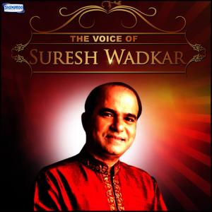 ดาวน์โหลดและฟังเพลง Praanaartha Mantra พร้อมเนื้อเพลงจาก Suresh Wadkar