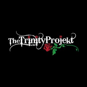 ดาวน์โหลดและฟังเพลง Glitch พร้อมเนื้อเพลงจาก The Trinity Projekt