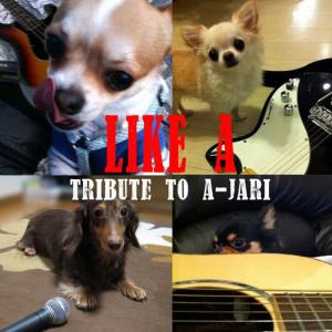 ดาวน์โหลดและฟังเพลง A・RA・RI・YO พร้อมเนื้อเพลงจาก 秋山沙登子