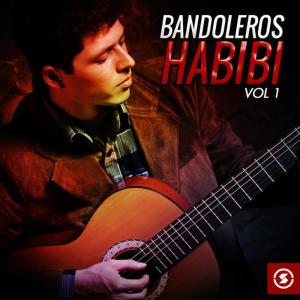 ดาวน์โหลดและฟังเพลง Ay Ven Chiquita 2 พร้อมเนื้อเพลงจาก Bandoleros Art