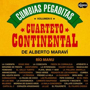 收聽Cuarteto Continental de Alberto Maraví的Río Manu歌詞歌曲