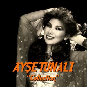 Ayşe Tunalı的專輯Collection