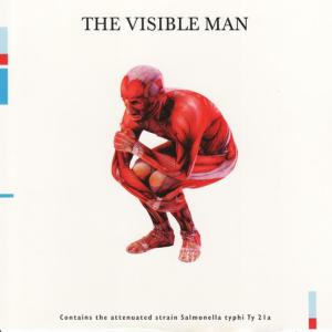 ดาวน์โหลดและฟังเพลง Miss America (Remix) พร้อมเนื้อเพลงจาก David Byrne