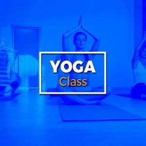 收聽Yoga Class Music的Colours of the Forest歌詞歌曲