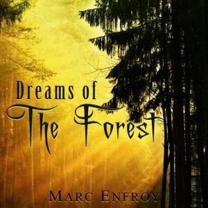 ดาวน์โหลดและฟังเพลง Pines in the Mist พร้อมเนื้อเพลงจาก Marc Enfroy