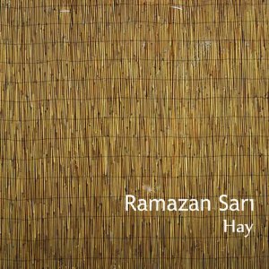 收聽Ramazan Sarı的Ya Rabbena歌詞歌曲