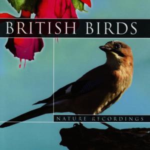 收聽Global Journey的British Birds - Rook Bird Sounds(Nature Sounds)歌詞歌曲