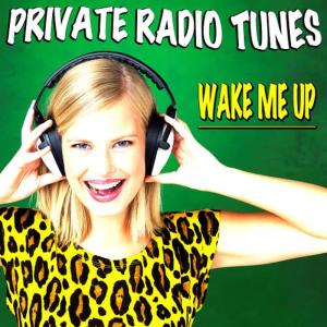收聽Private Radio Tunes的Counting Stars (No More Counting Dollars)歌詞歌曲
