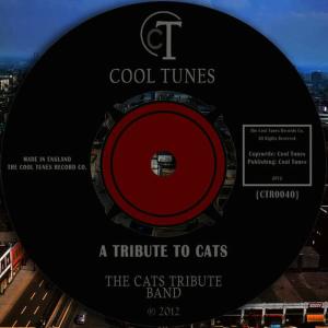 收聽Cats Tribute Band的Memory歌詞歌曲