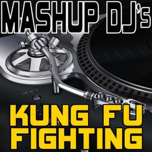 收聽Mashup DJ's的Kung Fu Fighting (Re-Mix Tool)歌詞歌曲