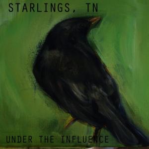 ดาวน์โหลดและฟังเพลง In My Life พร้อมเนื้อเพลงจาก Starlings, TN