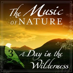 ดาวน์โหลดและฟังเพลง Wild Notes พร้อมเนื้อเพลงจาก Ernest Lyons