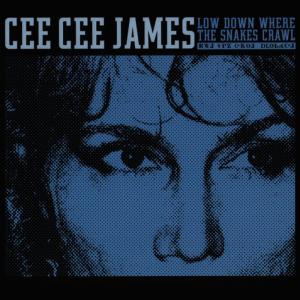 ดาวน์โหลดและฟังเพลง Done Love Wrong พร้อมเนื้อเพลงจาก Cee Cee James
