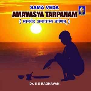 Listen to Amaavaasyaa Tarpanam - Saamveda - Smaartaa song with lyrics from Dr. S. S. Raghavan