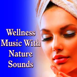 收聽Meditation Zen Master的Soothing Musical Theme with Calming Bird Song歌詞歌曲