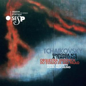 ดาวน์โหลดและฟังเพลง Sinfonia nº 5 em Mi Menor, Op.64: Andante / Allegro con Anima พร้อมเนื้อเพลงจาก Orquestra Sinfônica Do Estado De São Paulo