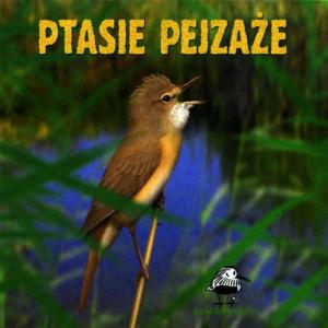 收聽Singing Birds of Poland的Chapter 3: Great tit, great crested grebe, primrose, trzciniak, the crow, chaffinch, crane歌詞歌曲