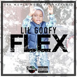 收聽Lil Goofy的Flex歌詞歌曲