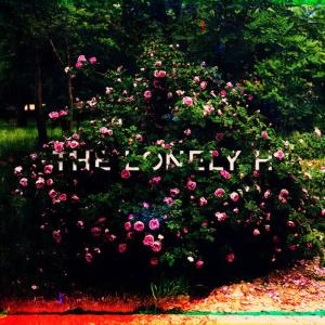 收聽The Lonely H的Runaway歌詞歌曲