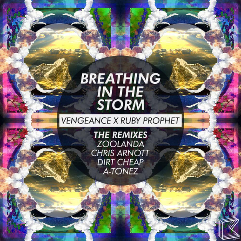 Breathing in the Storm (Chris Arnott Remix)