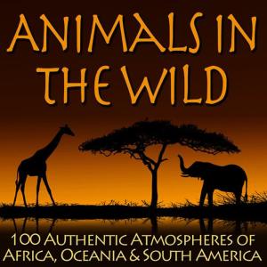 ดาวน์โหลดและฟังเพลง Whoops of a Siamang Gibbon Ring Though the Jungle พร้อมเนื้อเพลงจาก Pro Sound Effects Library