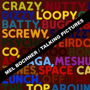 ดาวน์โหลดและฟังเพลง Useless พร้อมเนื้อเพลงจาก Mel Bochner