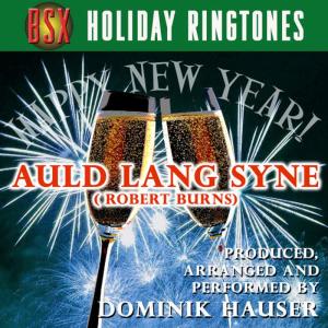 收聽Dominik Hauser的Auld Lang Syne歌詞歌曲