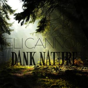 ดาวน์โหลดและฟังเพลง Hey You (Explicit) พร้อมเนื้อเพลงจาก Eli Cannon