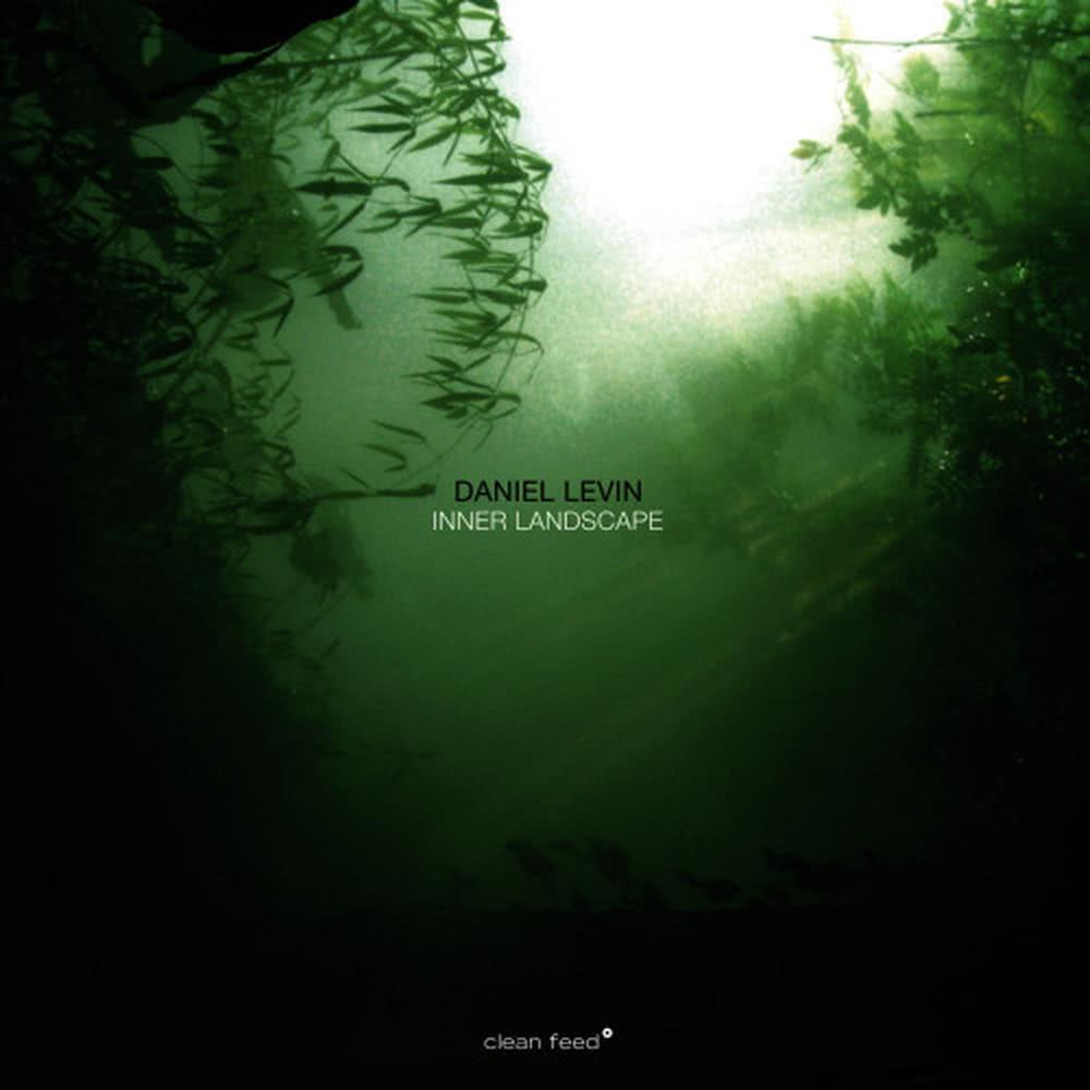Landscape 6