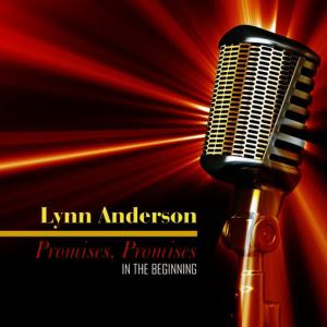 ดาวน์โหลดและฟังเพลง A Hundred Times Today พร้อมเนื้อเพลงจาก Lynn Anderson