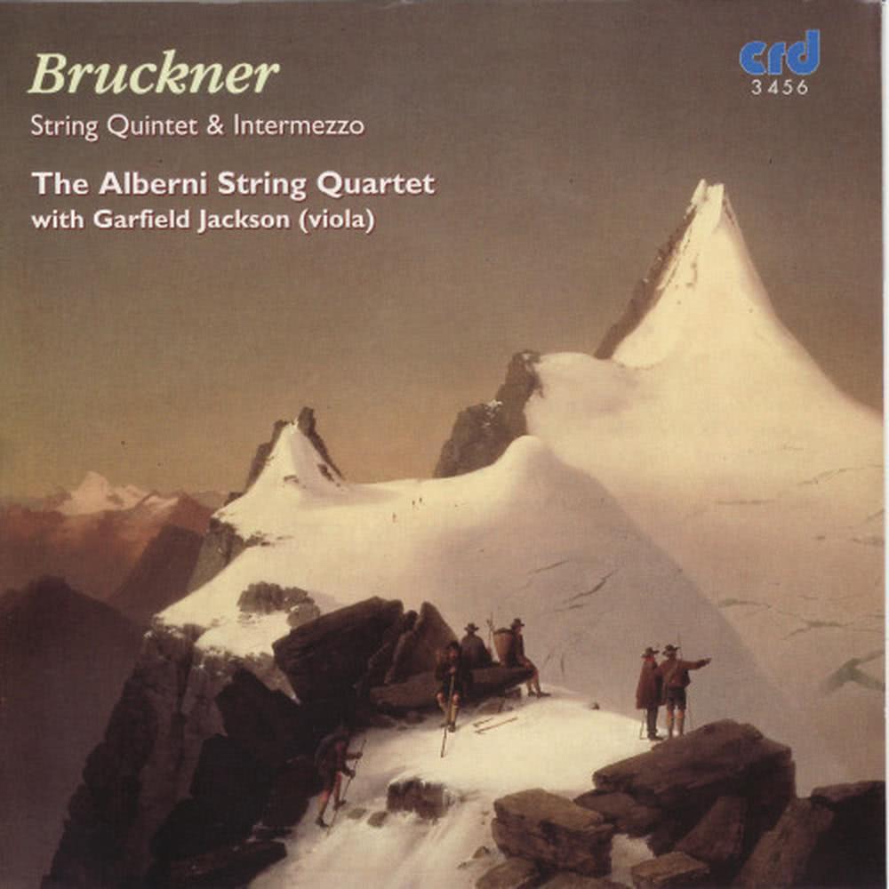 Intermezzo for String Quintet in D Minor, WAB 113