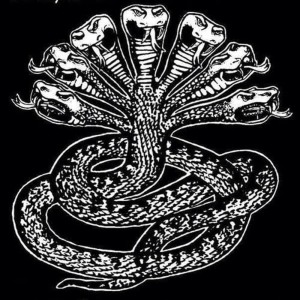 ดาวน์โหลดและฟังเพลง Contort พร้อมเนื้อเพลงจาก Fantasy Panther