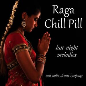 ดาวน์โหลดและฟังเพลง The Welcoming Moon(South Indian Drums, Flute & Tampura) พร้อมเนื้อเพลงจาก East India Dream Company