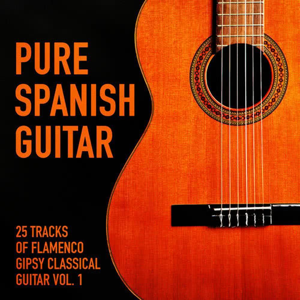 Pure Spanish Guitar, Vol. 1 (25 Tracks of Flamenco Gipsy Classical Guitar)