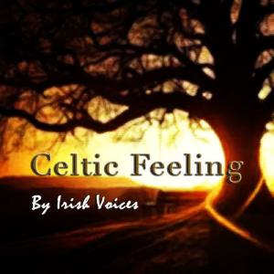 ดาวน์โหลดและฟังเพลง Decode พร้อมเนื้อเพลงจาก Irish Voices