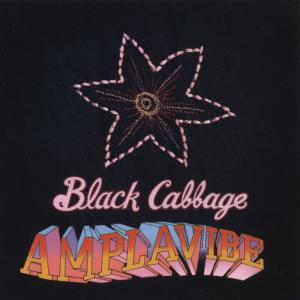 ดาวน์โหลดและฟังเพลง Dragons พร้อมเนื้อเพลงจาก Black Cabbage