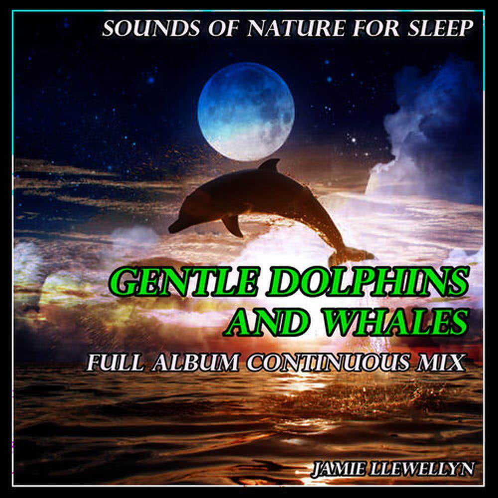 Sounds of Nature for Sleep: Gentle Dolphins and Whales