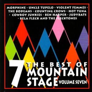 ดาวน์โหลดและฟังเพลง American Music พร้อมเนื้อเพลงจาก Violent Femmes