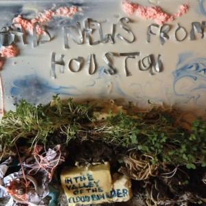 收聽Bad News from Houston的Mile High Desert Meadow Tea歌詞歌曲