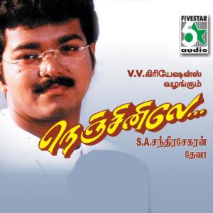 ดาวน์โหลดและฟังเพลง Manasae (From "Nenjinilea") พร้อมเนื้อเพลงจาก Deva
