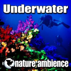 ดาวน์โหลดและฟังเพลง Movement and Lapping Under Water พร้อมเนื้อเพลงจาก Nature Ambience