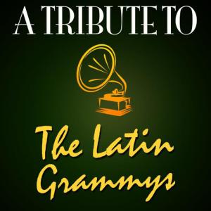 Deja Vu的專輯Tribute to the Latin Grammys