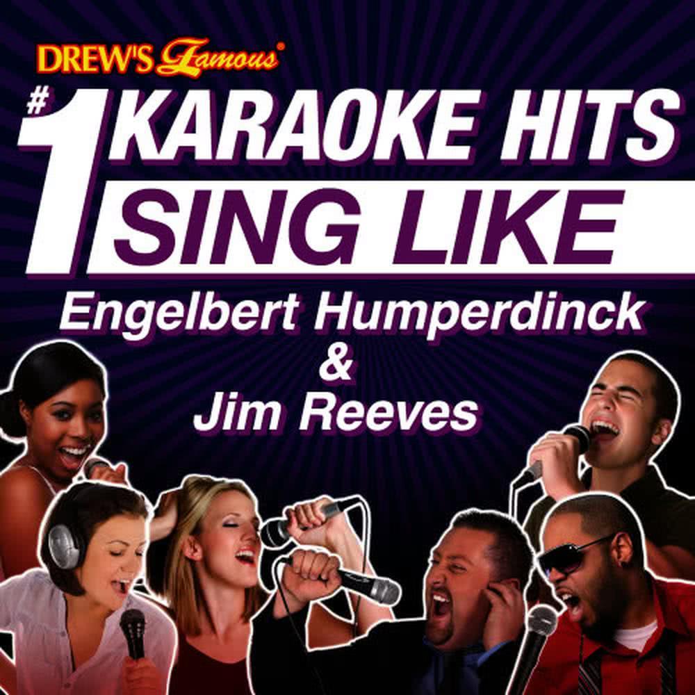 On the Wings of a Silver Bird (Karaoke Version)