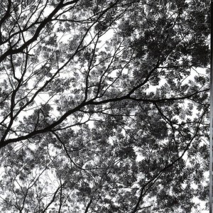 ดาวน์โหลดและฟังเพลง Onde o Silêncio Faz Eco พร้อมเนื้อเพลงจาก À Deriva
