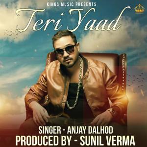 Listen to Teri Yaad song with lyrics from Anjay Dalhod